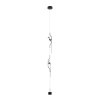 Подвесной светильник LOFT IT 10346/2 Black