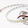 SWG Standard Светодиодная лента SWG Standard,  2835, 240 LED/м, 20 Вт/м, 24В , IP20, SWG2240-24-20-NW-M