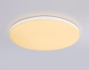 Накладной светильник Ambrella Light FZ2001