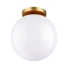 Накладной светильник Odeon Light 4248/1C