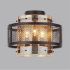 Накладная люстра LUMION 8007/3C