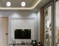 Накладной светильник Ambrella Light TN5303