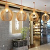 Подвесной светильник ImperiumLoft 204454-22
