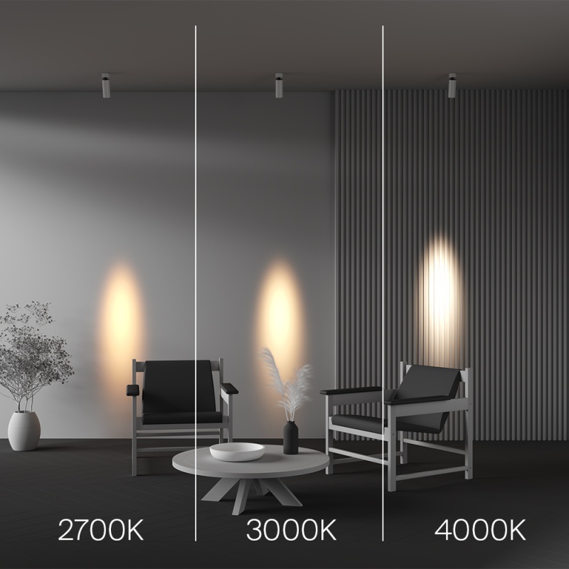 Спот Maytoni C055CL-L12W4K-SS-W