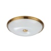 Накладной светильник Odeon Light 4956/5