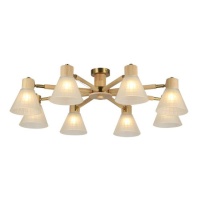 Накладная люстра ARTE Lamp A4096PL-8BR