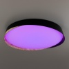 Накладной светильник Citilux CL754451G