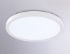 Накладной светильник Ambrella Light FZ1903