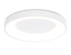 Накладной светильник Ambrella Light FZ1401