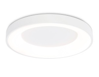 Накладной светильник Ambrella Light FZ1401
