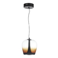 Подвесной светильник ST-Luce SL6014.413.01