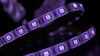 SWG Standard Светодиодная лента 5050, 60 LED/м, 14,4 Вт/м, 24В , IP68, Цвет: RGB, SWG560-24-14.4-RGB-68-M