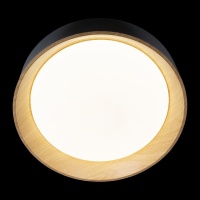 Накладной светильник LOFT IT 10202 Black
