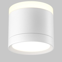 Накладной светильник Maytoni C120CL-GX53-W