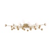 Потолочный светильник Freya FR5242CL-24BS