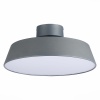 Накладной светильник Evoluce SLE600272-01