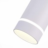 Подвесной светильник ST-Luce ST115.543.12