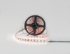SWG Standard Светодиодная лента  5050, 60 LED/м, 19,2 Вт/м, 12В , IP20, Цвет: RGB + теплый белый, SWG560-12-19.2-RGBWW-M