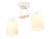 Накладной светильник Ambrella Light TR9541