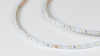 SWG PRO Светодиодная лента SWG PRO 2835, 60 LED/м, 4,8 Вт/м, 24В , IP20, Цвет: Холодный белый, SWG2P60-24-4.8-W