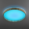 Накладной светильник Citilux CL753452G