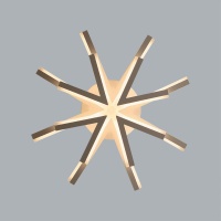 Накладная люстра LUMION 8029/65CL