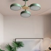 Накладная люстра ImperiumLoft 178253-26