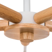 Люстра на штанге ARTE Lamp A5032PL-5BR