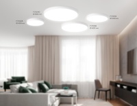 Накладной светильник Ambrella Light FV5532