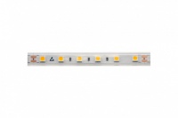 Лента DesignLed DSG560-24-WW-65