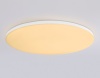 Накладной светильник Ambrella Light FZ2003