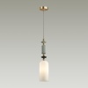 Подвесной светильник Odeon Light 4861/1D