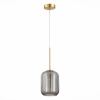 Подвесной светильник ST-Luce SL1154.323.01