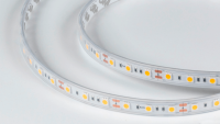 DesignLed Светодиодная лента 14.4Вт 12В IP65 теплое свечение белое, DSG560-12-WW-65