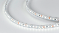 DesignLed Светодиодная лента 12V холодное белое свечение, DSG3120-12-W-65