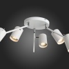 Накладной светильник ST-Luce SL597.502.06