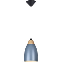 Подвесной светильник TOPLIGHT TL0724H-2N