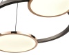 Подвесная люстра Vele Luce VL7272P02