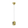 Подвесной комплект Maytoni Technical TRA157SW-IPC1-BS