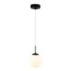 Подвесной светильник ARTE Lamp A1565SP-1BK