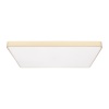 Накладной светильник LOFT IT 10228/E