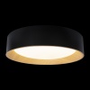 Накладной светильник LOFT IT 10202 Black