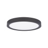 Накладной светильник LOFT IT 10227/24 Black