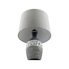 Настольная лампа LUMION 8118/1T
