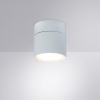 Спот ARTE Lamp A5549PL-1WH