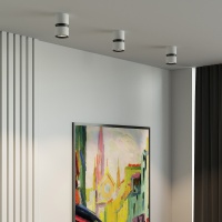 Накладной светильник Elektrostandard 25049/LED 12W 4000К белый/чёрный