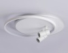Накладной светильник Ambrella Light FL51391
