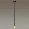 Подвесной светильник Odeon Light 3884/1GB
