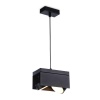 Подвесной светильник Ambrella Light TN70859