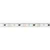 Лента Arlight 039175